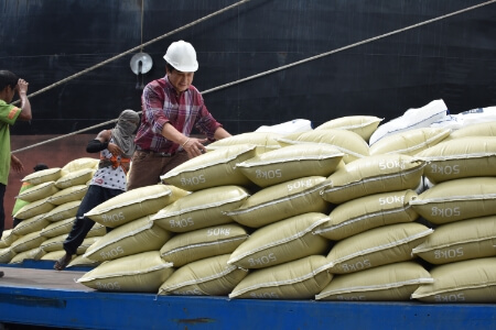 About Harbour Centre Port Terminal Inc.